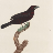 Louis Maritaud's avatar